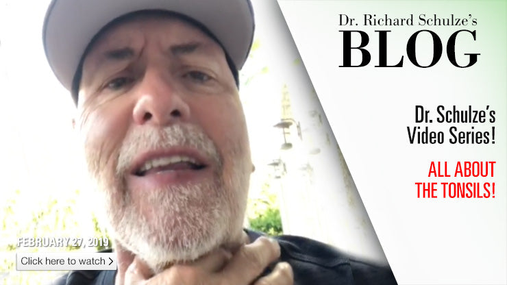 All About The Tonsils