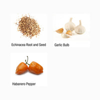 Echinacea Plus